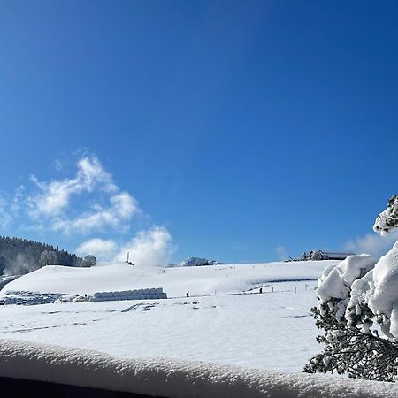 Studio Dans Un Chalet Avec Jardin Privatif Leysin Exteriör bild