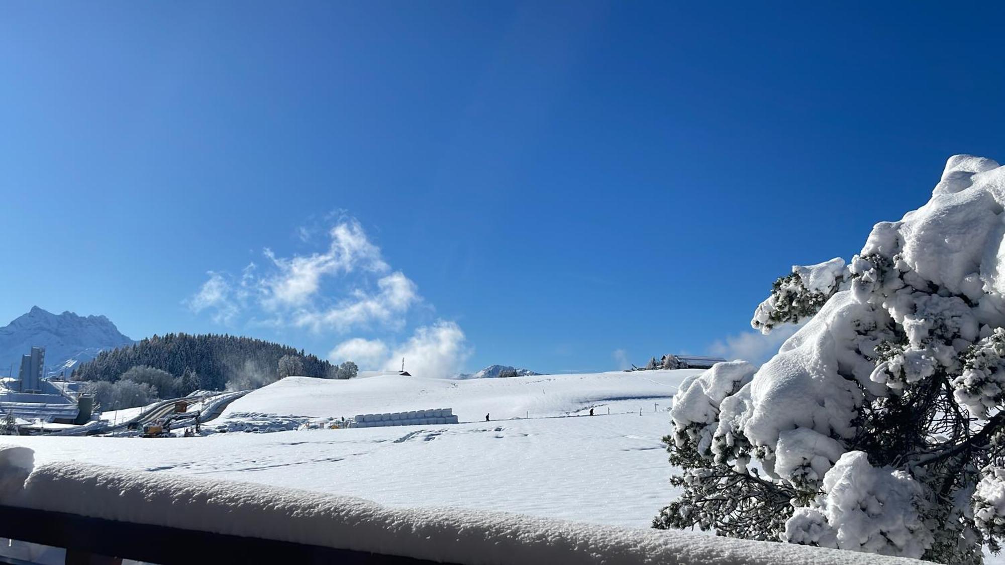 Studio Dans Un Chalet Avec Jardin Privatif Leysin Exteriör bild