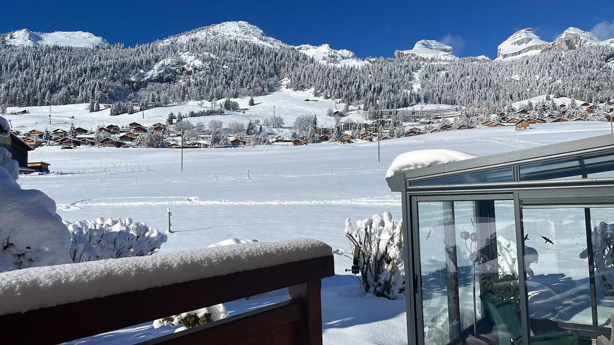 Studio Dans Un Chalet Avec Jardin Privatif Leysin Exteriör bild