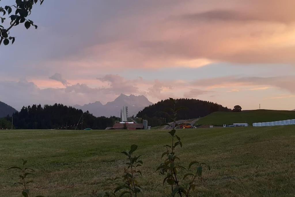 Studio Dans Un Chalet Avec Jardin Privatif Leysin Exteriör bild