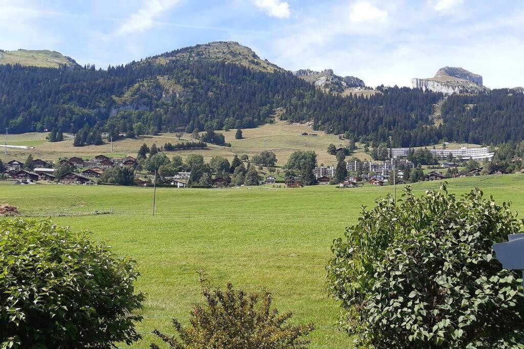 Studio Dans Un Chalet Avec Jardin Privatif Leysin Exteriör bild