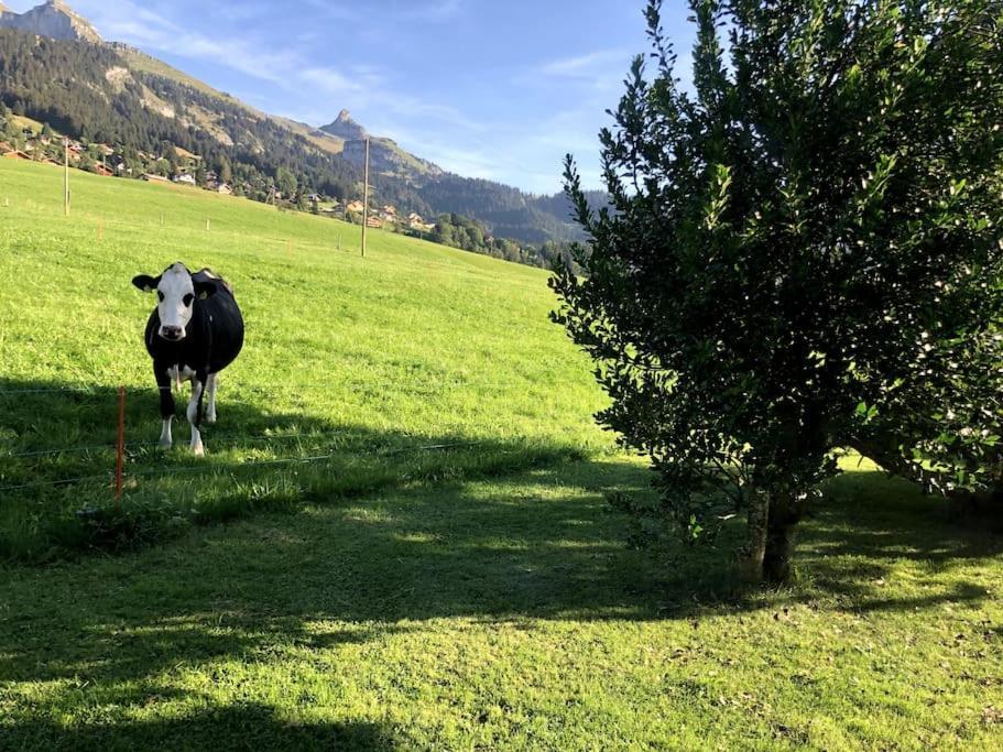 Studio Dans Un Chalet Avec Jardin Privatif Leysin Exteriör bild